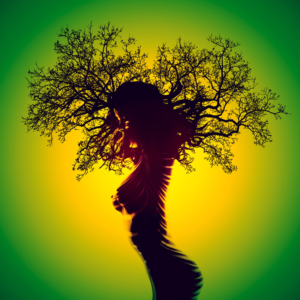 Aktfotografie Kunstwerk Wandbild Natur Baum Frau Fotokunst Silhouette