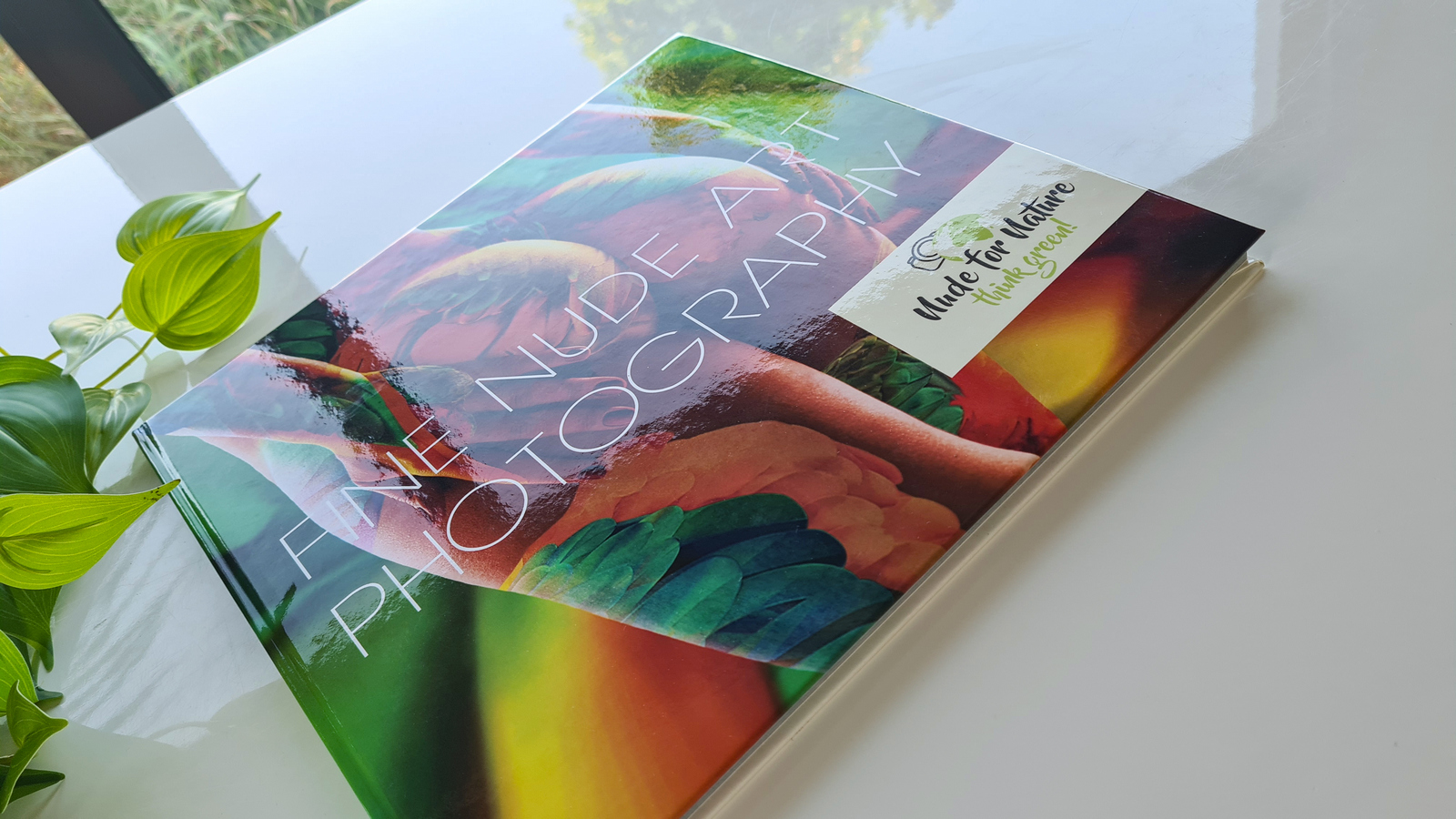 Bildband Aktfotografie Aktfotos fine nude art photography book