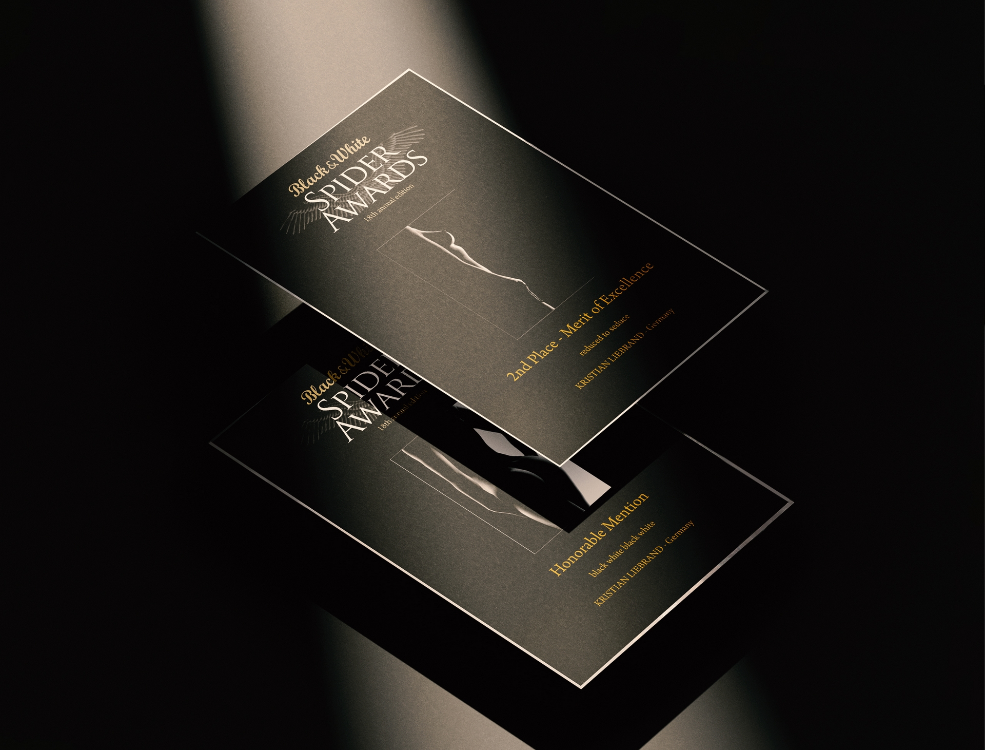 Black &amp; White Spider Awards 2nd winner - preisgekrönte Aktfotografie-Kunst