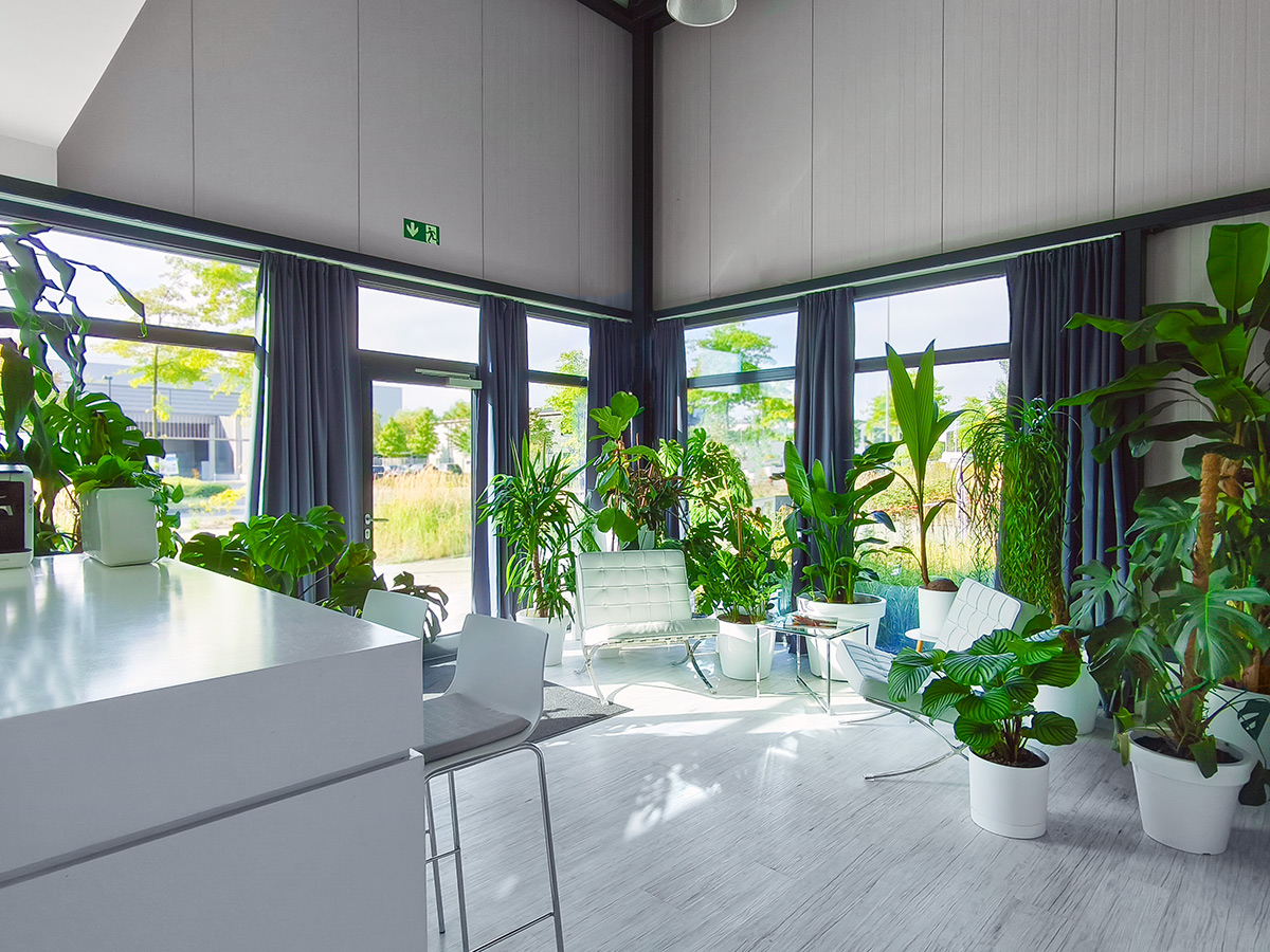 Eingangsbereich und Büro für Bildbearbeitung