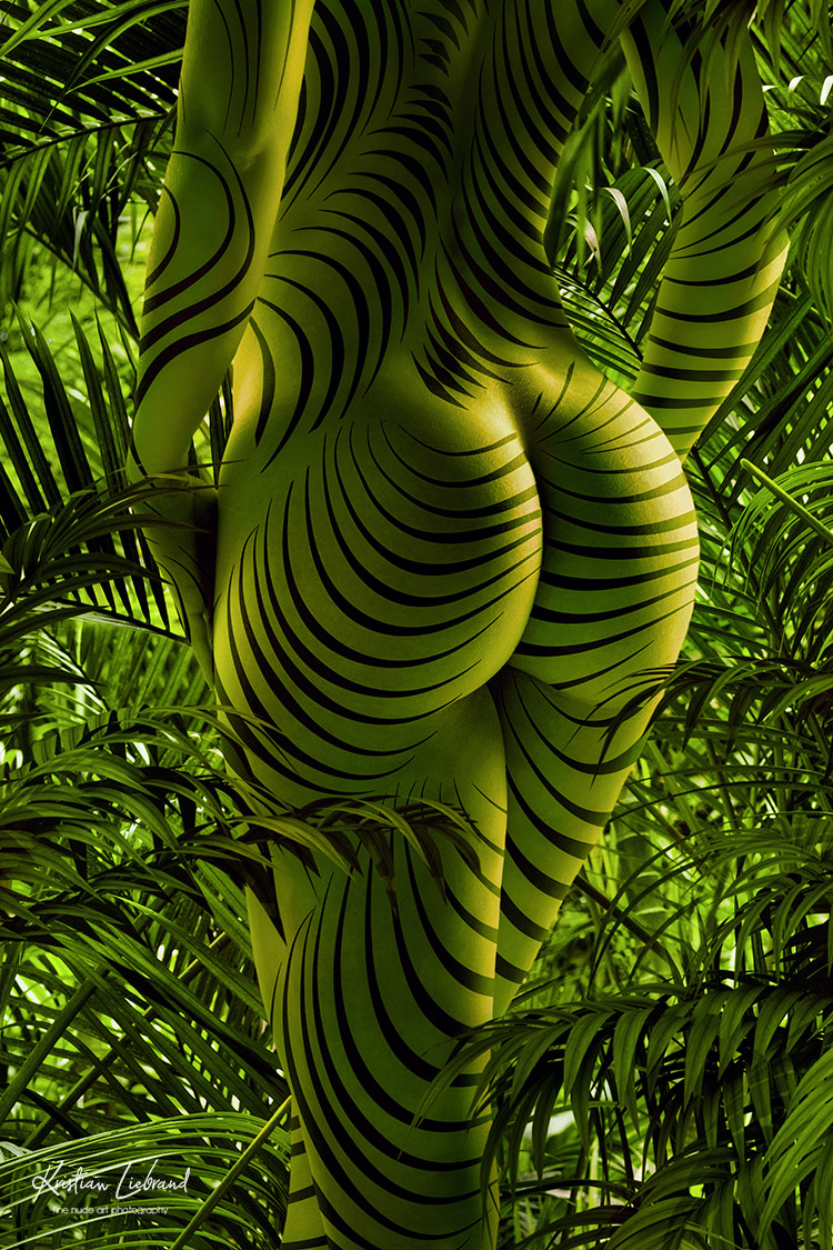 Aktfotokunst - Urwald Jungle  Bodypainting