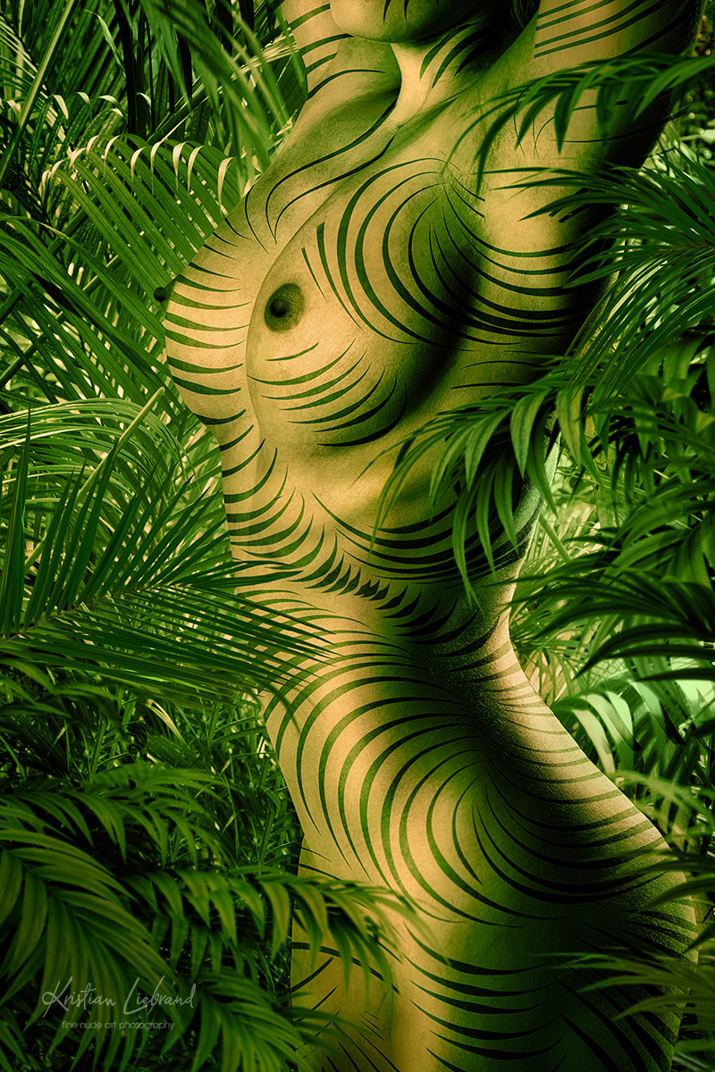 Aktfotokunst - Urwald Jungle  Bodypainting