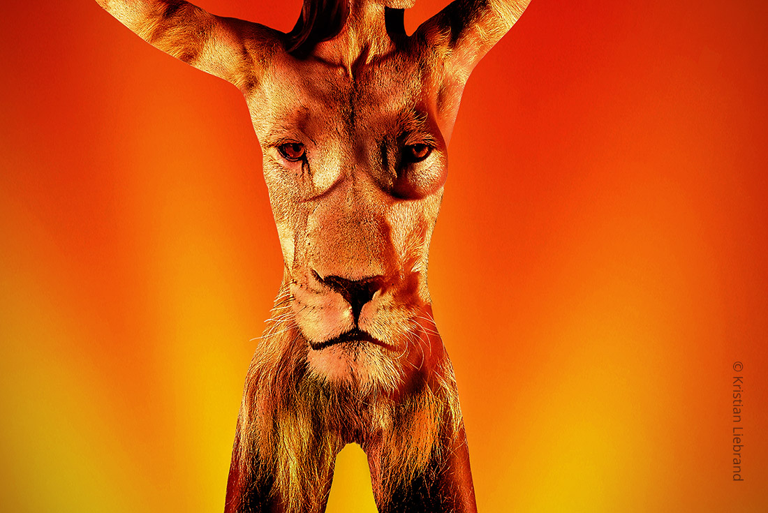 Aktfoto mit Bodypainting Löwe