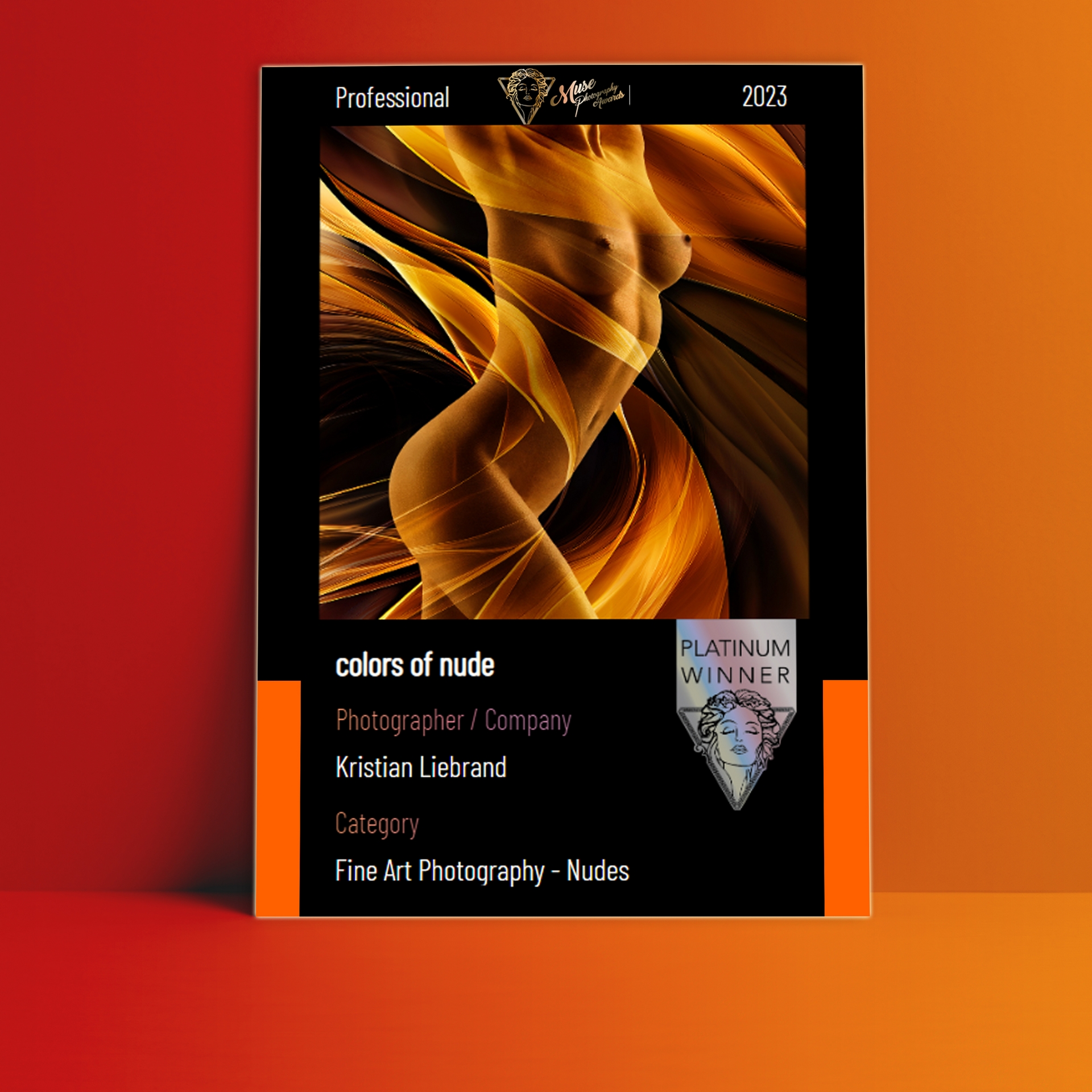 Internationale Auszeichnung für Fotokuunst Kunstwerk Fine Art  Sieger - bekannter Aktfotograf