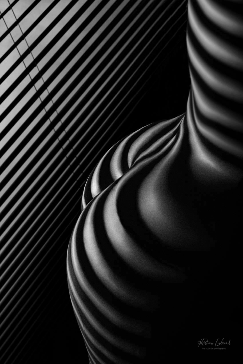 Licht und Schatten Aktfotografie in schwarzweiss Streifenlicht Zebra-Effekt