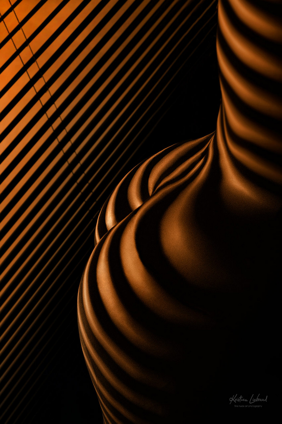 Aktfotos mit Streifenlicht Zebraeffekt