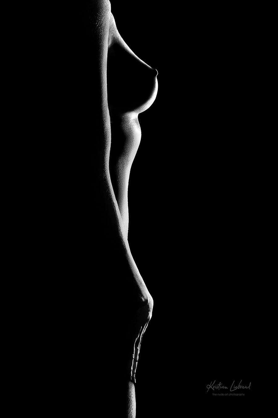 Schwarzweiß Silhouette Frau Aktfoto