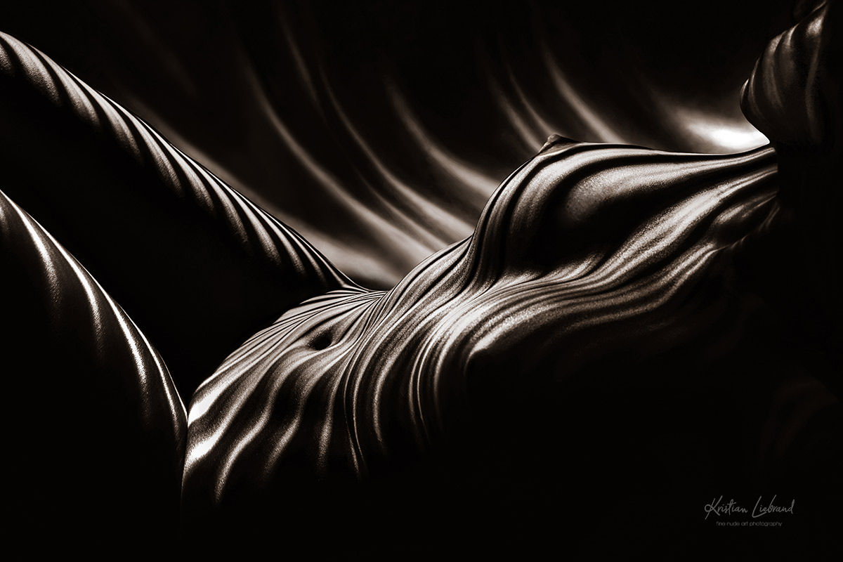 Aktfotografie-Kunst für Schlafzimmer / erotosche Fotokunst